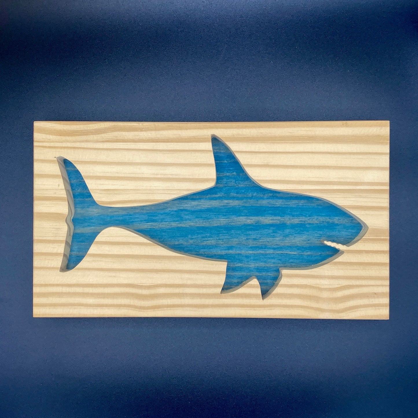Tableau animal Requin Bleu 1